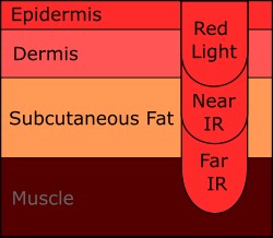 Infrared Light Penetration Diagram