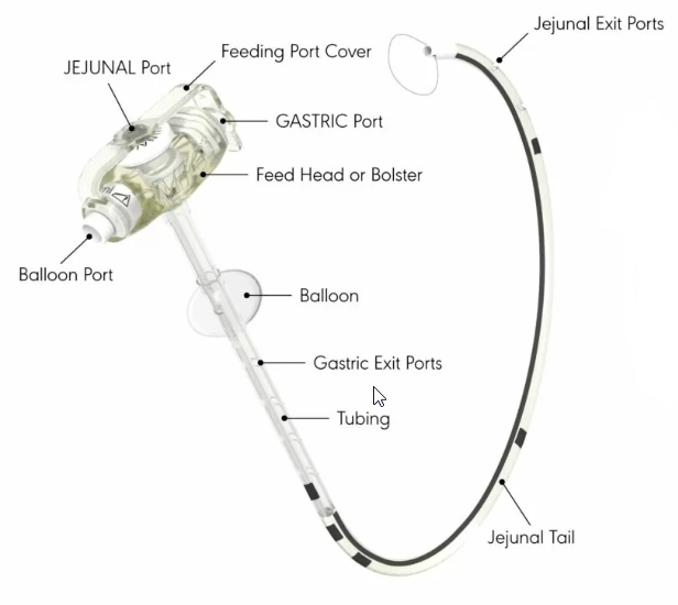 Tubing Anatomy