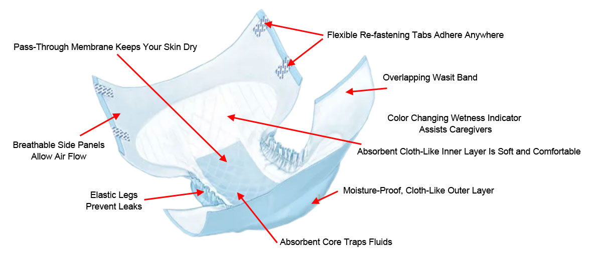 Incontinence Briefs Anatomy